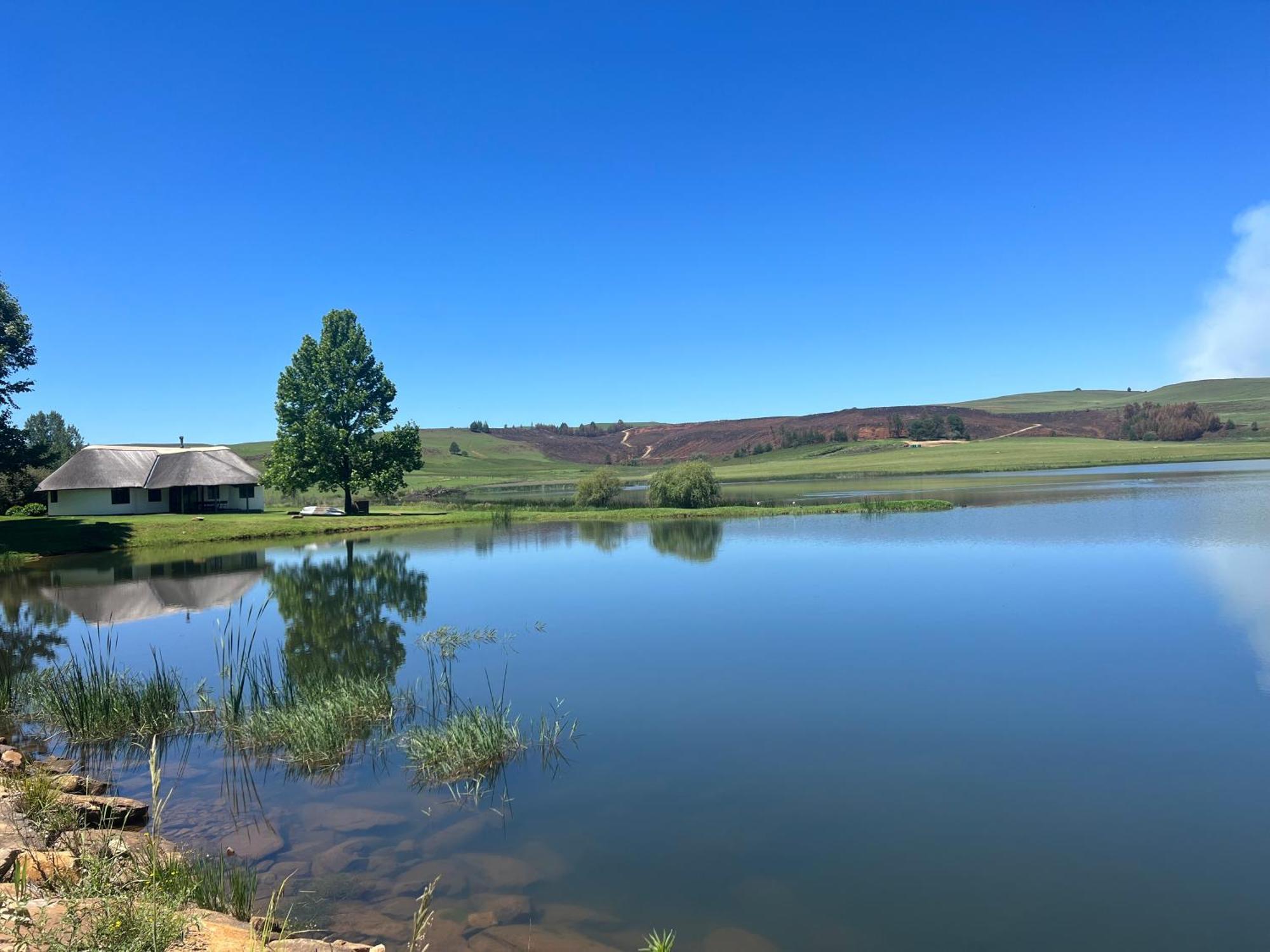 Dieu Donne Cottage Underberg Εξωτερικό φωτογραφία