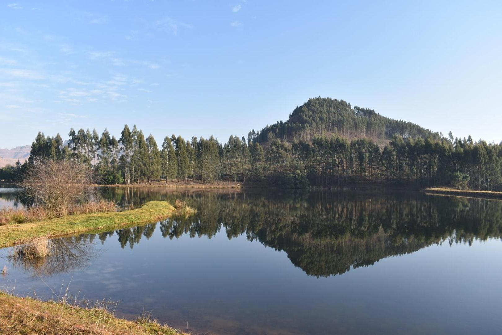 Dieu Donne Cottage Underberg Εξωτερικό φωτογραφία
